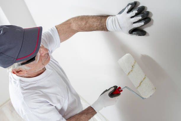 Best Water Damage & Mold Remediation  in Castle Pines Village, CO